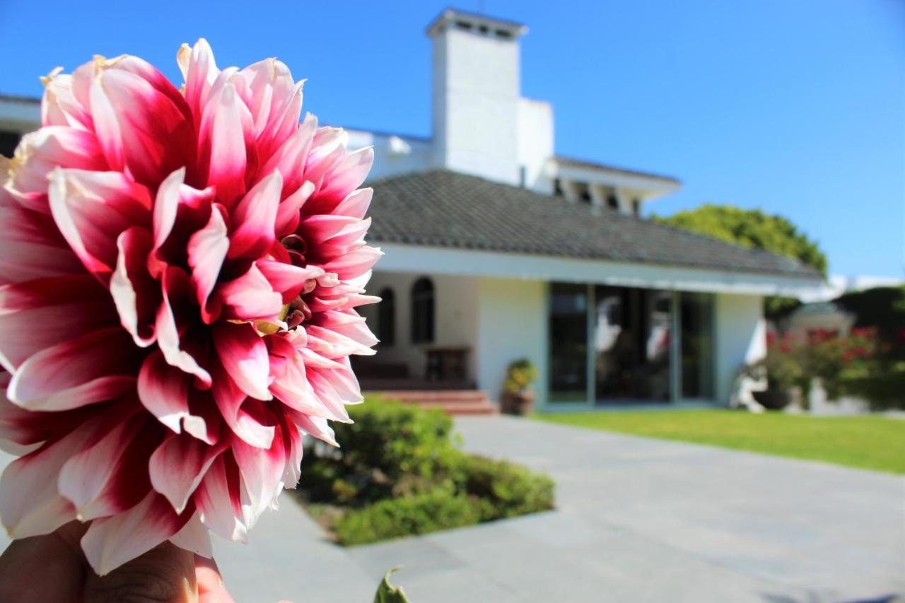Santo Refugio Heritage Hotel San Pedro Cholula Eksteriør billede
