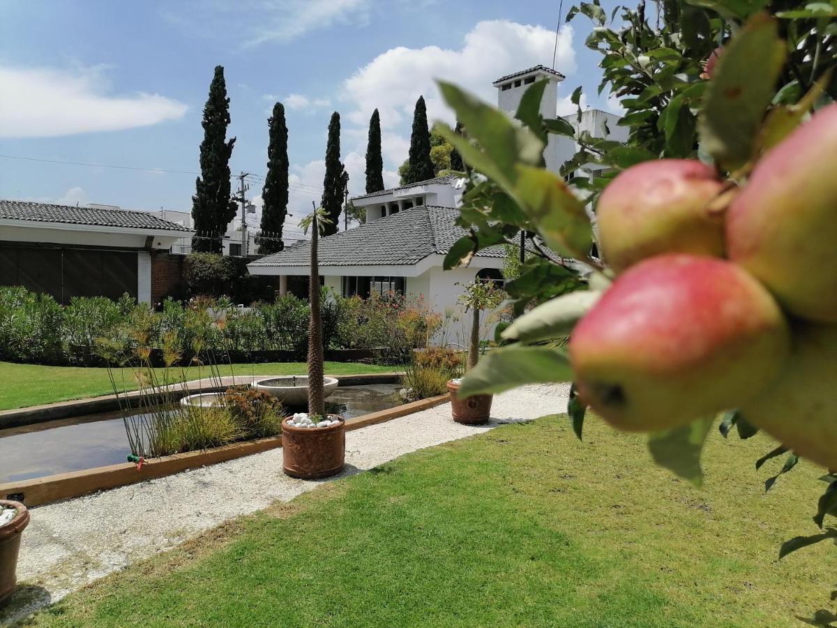 Santo Refugio Heritage Hotel San Pedro Cholula Eksteriør billede